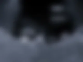 monellaincam